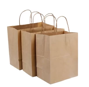 paper bag express pac (2)