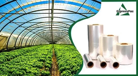Home Organic - expresspac